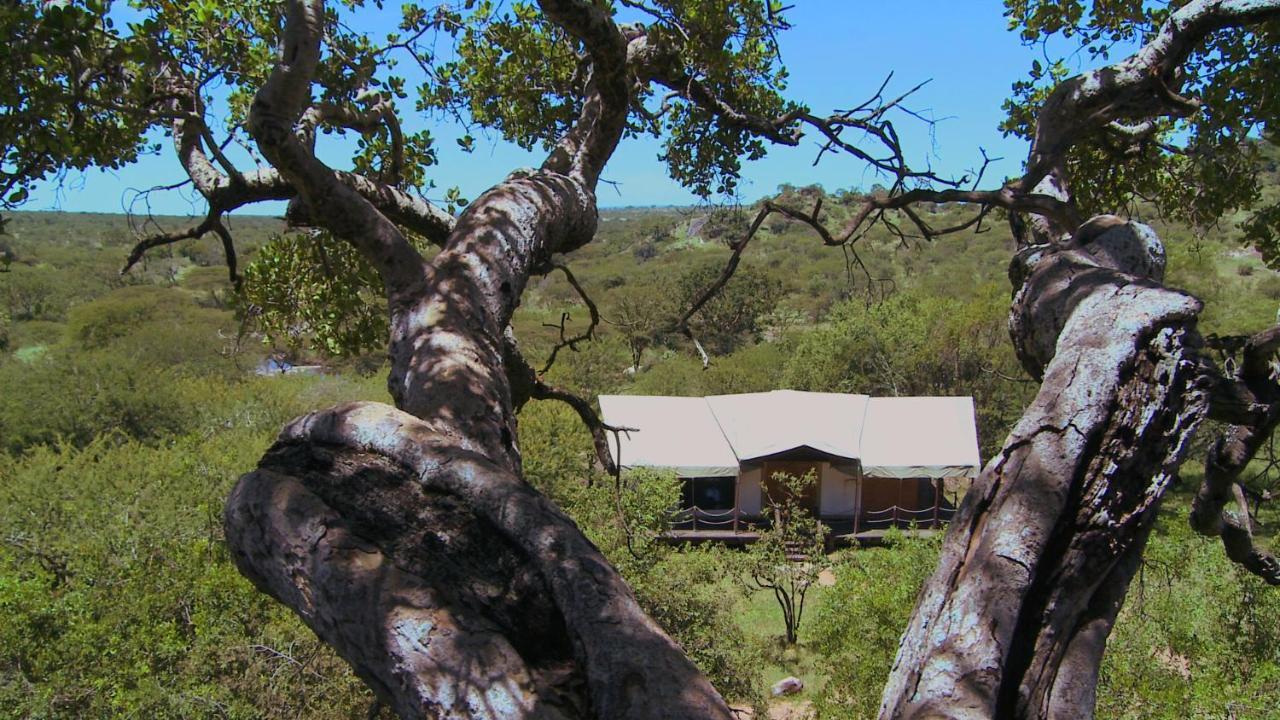 Serengeti Migration Camp Hotel Eksteriør billede